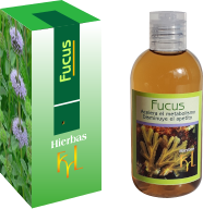 Fucus