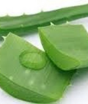 extracto-hidroalcoholico-aloe-vera-2