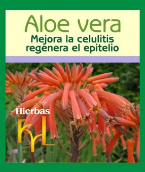 extracto-hidroalcoholico-aloe-vera