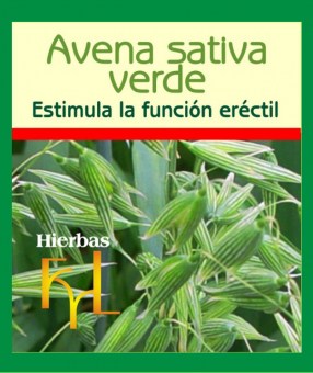 extracto-hidroalcoholico-avena-sativa-verde