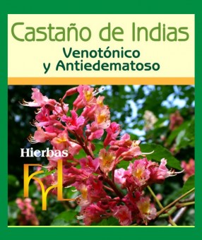 extracto-hidroalcoholico-castano-de-indias