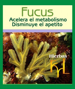 extracto-hidroalcoholico-fucus