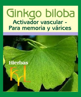 extracto-hidroalcoholico-ginkgo-biloba