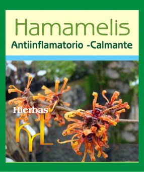 extracto-hidroalcoholico-hamamelis