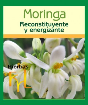 extracto-hidroalcoholico-moringa-oleifera