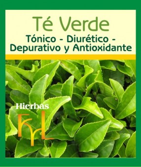 extracto-hidroalcoholico-te-verde