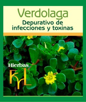 extracto-hidroalcoholico-verdolaga